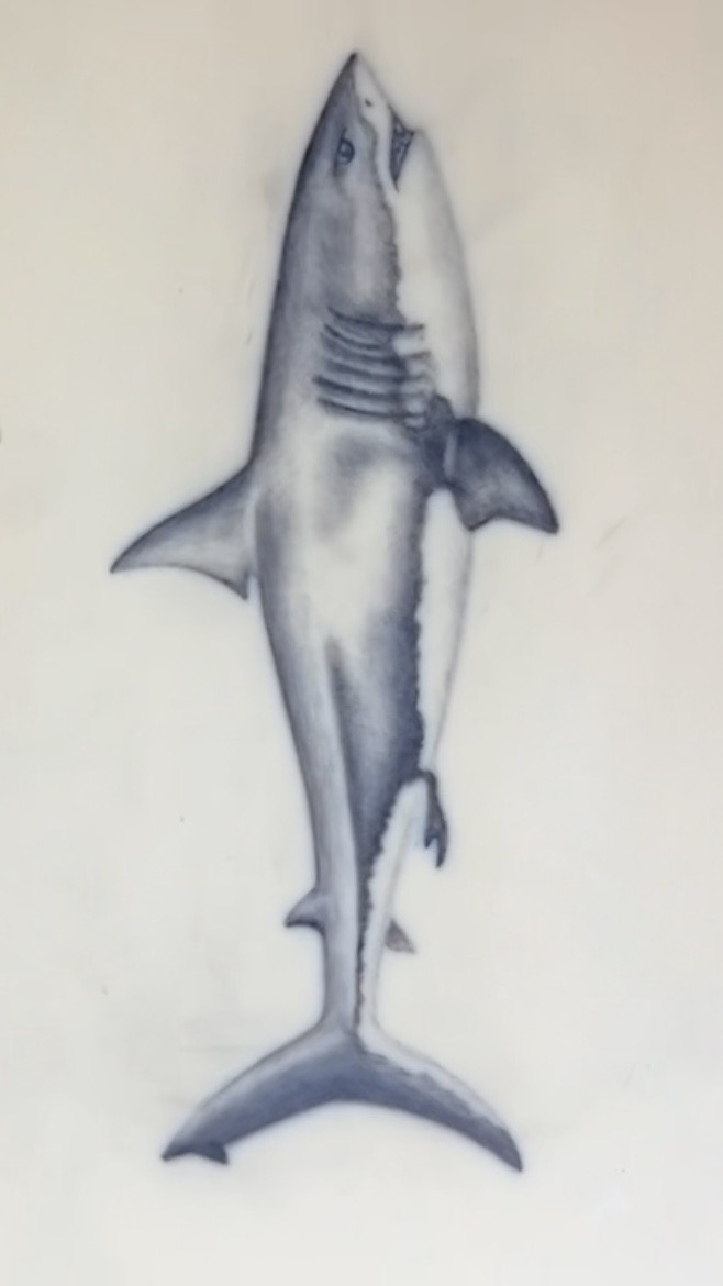 Shark – fertiges Tattoo